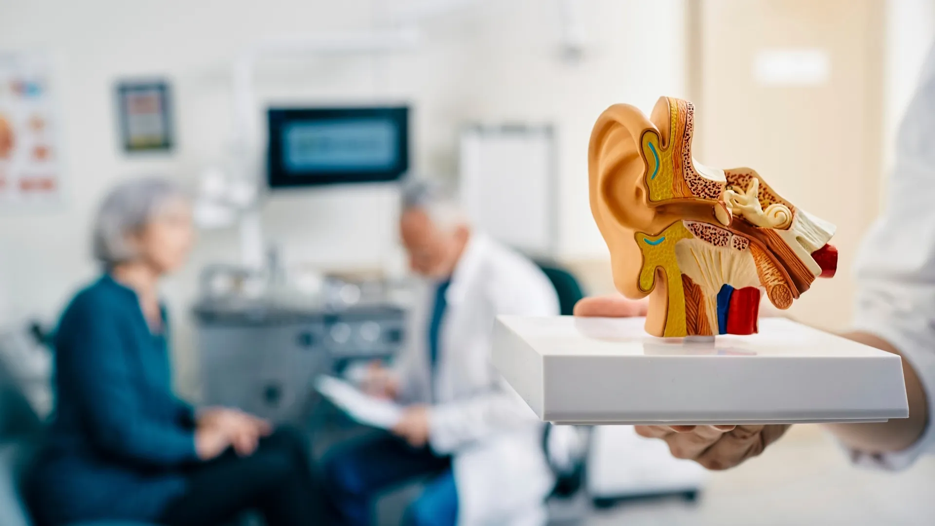 Featured image for “How the Ear Processes Sound From Start to Finish”